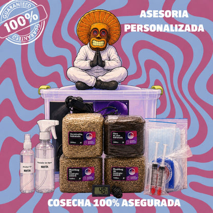 Kit Mantún - Cosecha en 50 días - Incluye garantía