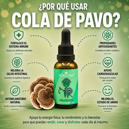 Infografía beneficios del extracto de Cola de Pavo FunFungi: sistema inmune, antioxidante, salud intestinal, cardiovascular y estado de ánimo