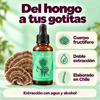 Cola de Pavo FunFungi de 30 ml: cuerpo fructífero, doble extracción con agua y alcohol y elaboración en Chile.
