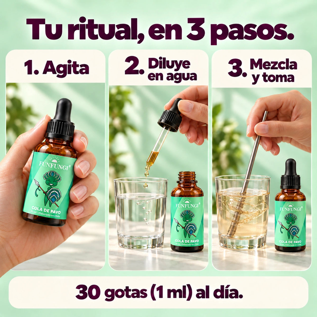 Cómo usar Cola de Pavo FunFungi: agitar el frasco, diluir 30 gotas (1 ml) al día en agua, mezclar y tomar. El mismo extracto aparece en los tres pasos.