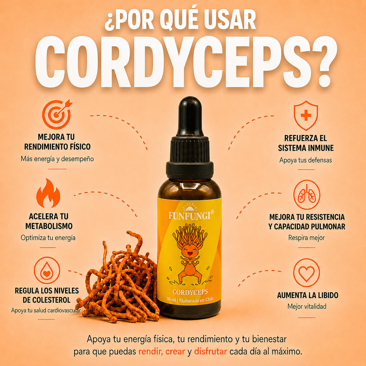 Infografía beneficios del extracto de Cordyceps FunFungi: rendimiento físico, metabolismo, sistema inmune, resistencia pulmonar, colesterol y libido