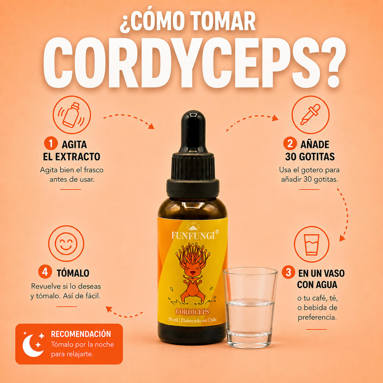Infografía cómo tomar el extracto de Cordyceps FunFungi: 4 pasos con gotero y vaso de agua