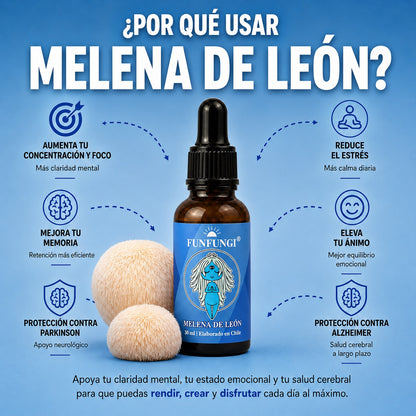 Infografía beneficios del extracto de Melena de León FunFungi: concentración, memoria, estrés, ánimo, Parkinson y Alzheimer