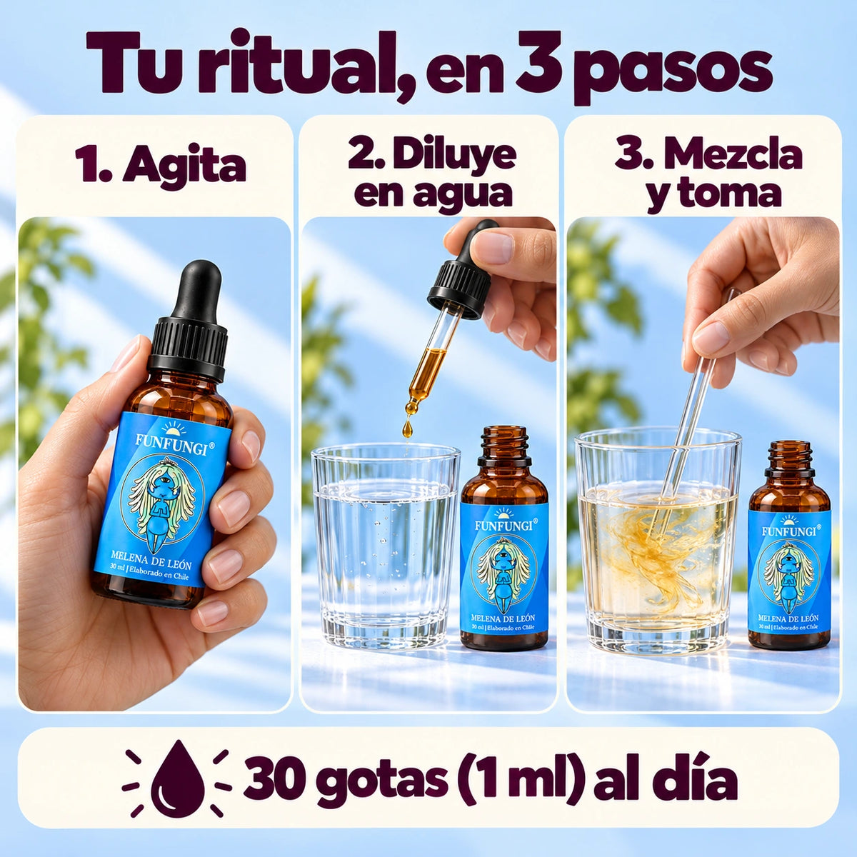 Cómo usar Melena de León FunFungi: agitar el frasco, diluir 30 gotas (1 ml) al día en agua, mezclar y tomar. El mismo extracto aparece en los tres pasos.