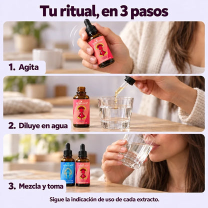 Cómo usar los extractos FunFungi en tres pasos: agitar el frasco de Reishi, diluir la porción en agua, mezclar y tomar. Sigue la indicación de cada extracto.