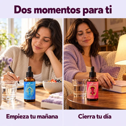 Rutina cotidiana con Melena de León FunFungi junto al desayuno y Reishi junto a un libro al cerrar el día.