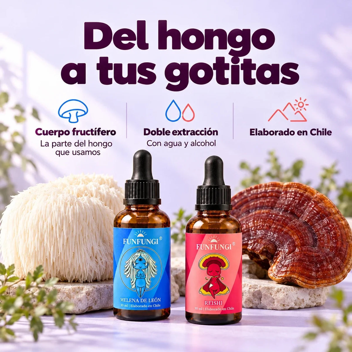 Frascos FunFungi de Melena de León y Reishi junto a sus hongos: extractos de cuerpo fructífero, doble extracción con agua y alcohol, elaborados en Chile.