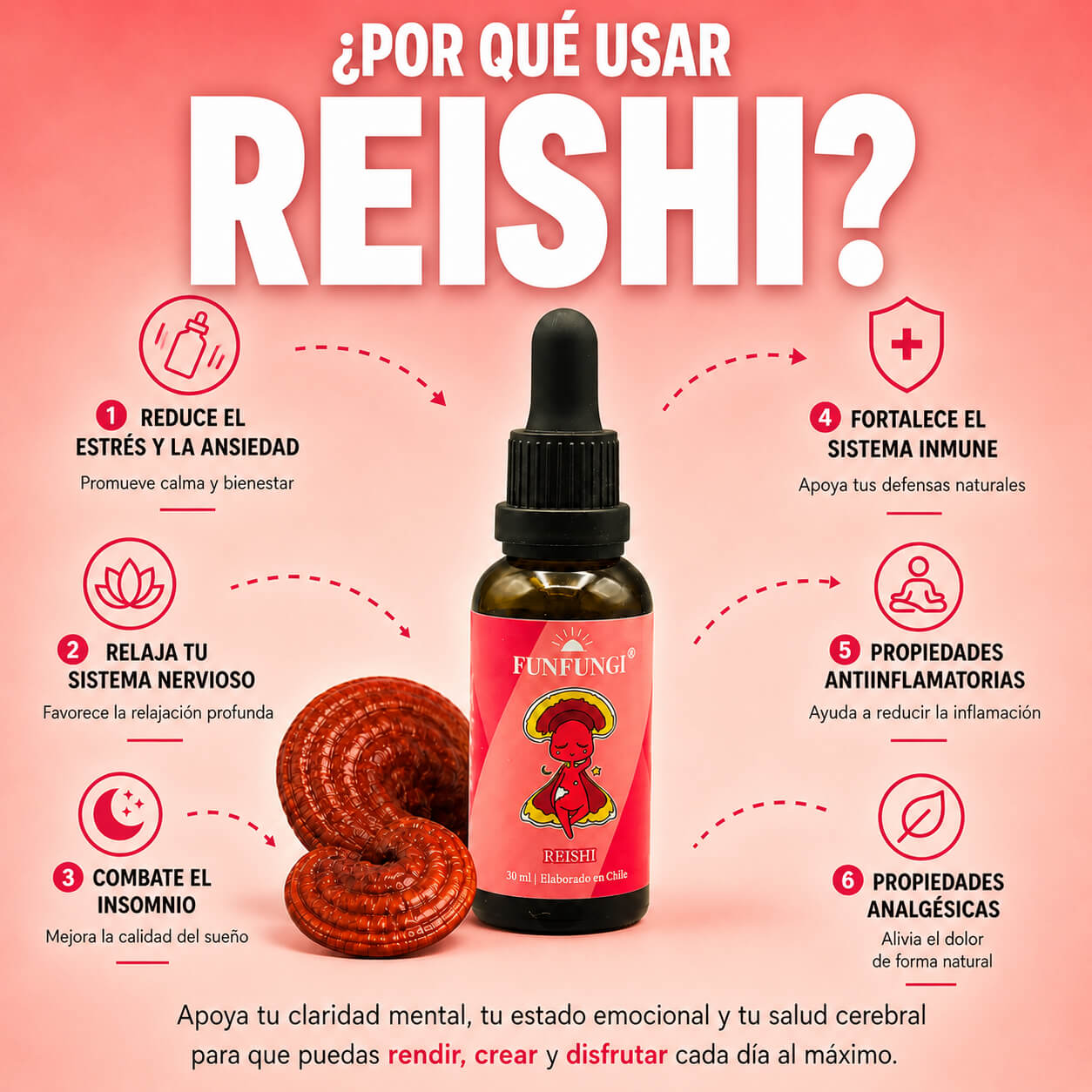Infografía beneficios del extracto de Reishi FunFungi: estrés, sistema nervioso, insomnio, sistema inmune, antiinflamatorio y analgésico