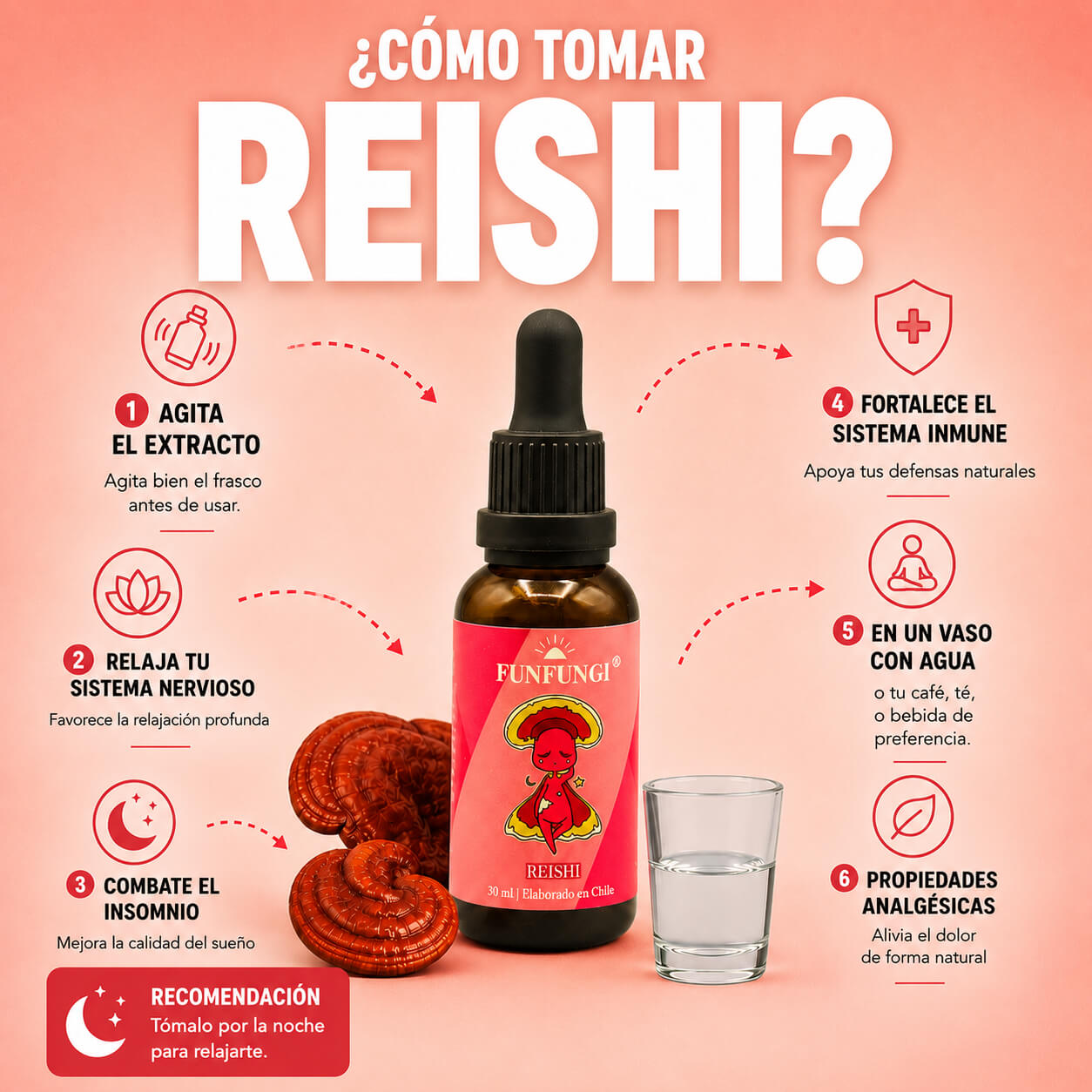Infografía cómo tomar el extracto de Reishi FunFungi: pasos con gotero y vaso de agua