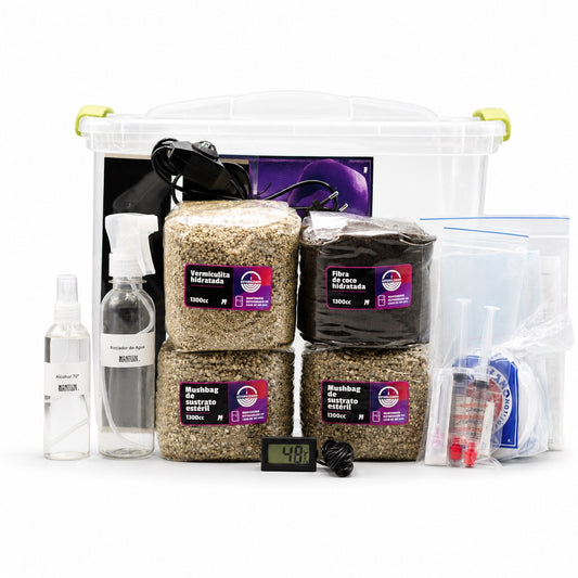 Kit de cultivo de hongos Mantún con caja fructificadora y accesorios