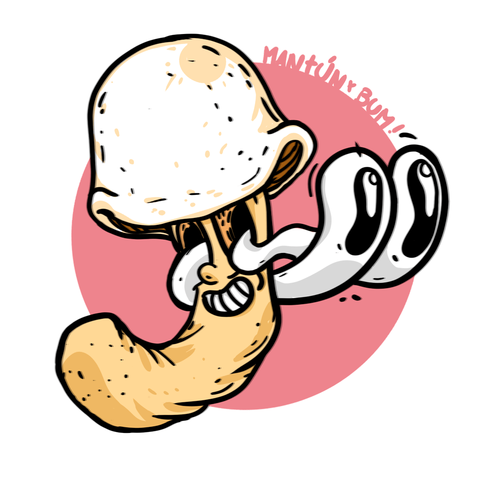 Ilustración cepa Psilocybe cubensis Albino - sombrero blanco crema - Esporas para microscopía Mantún