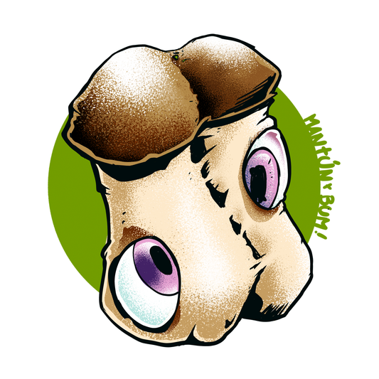 Ilustración cepa Psilocybe cubensis DC Mak 95 - sombrero oscuro ojos violeta fondo verde - Esporas para microscopía Mantún