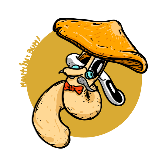 Ilustración cepa Psilocybe cubensis Golden Teacher - sombrero dorado - Esporas para microscopía Mantún