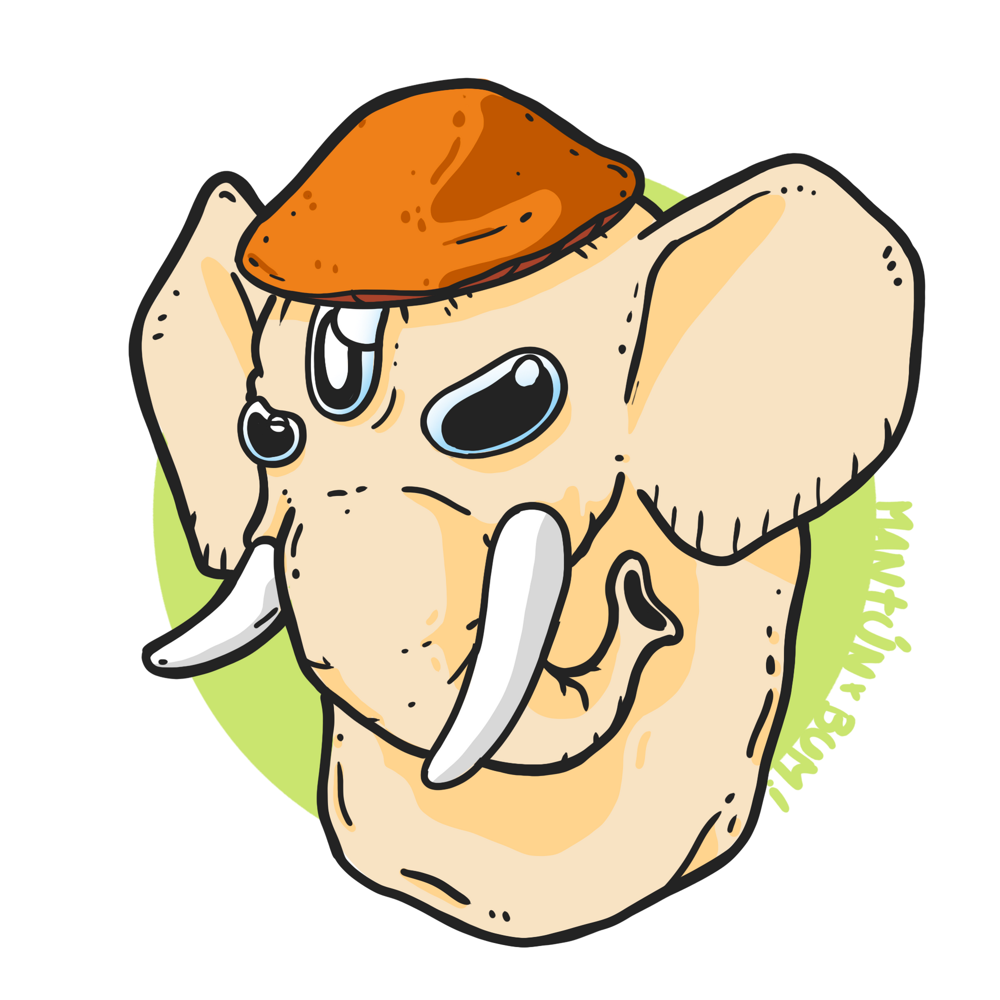 Ilustración cepa Psilocybe cubensis Thai Elephant Dung - cepa tailandesa - Esporas para microscopía Mantún