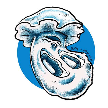 Ilustración cepa Psilocybe cubensis Tidal Wave - sombrero azul blanquecino ondulado - Esporas para microscopía Mantún