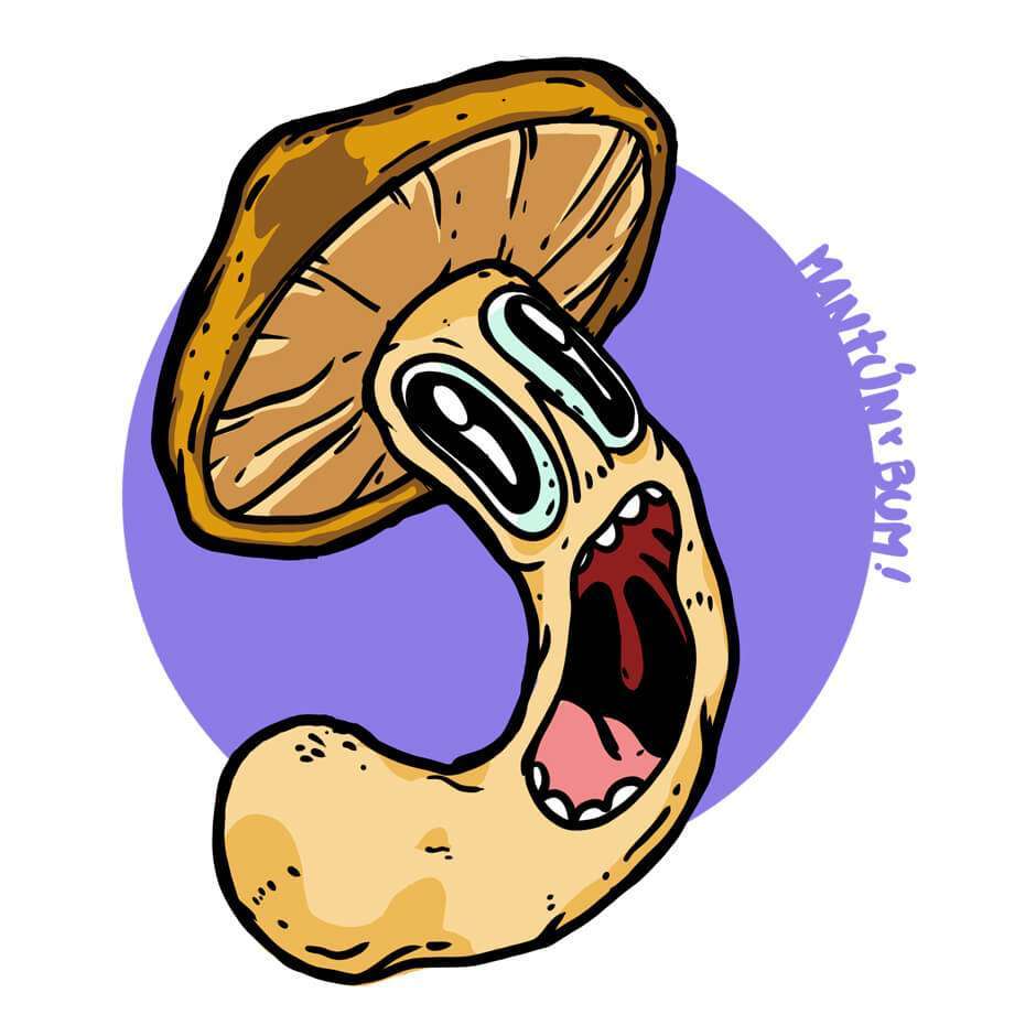 Ilustración cepa Psilocybe cubensis Wollongong australiana - Esporas para microscopía Mantún