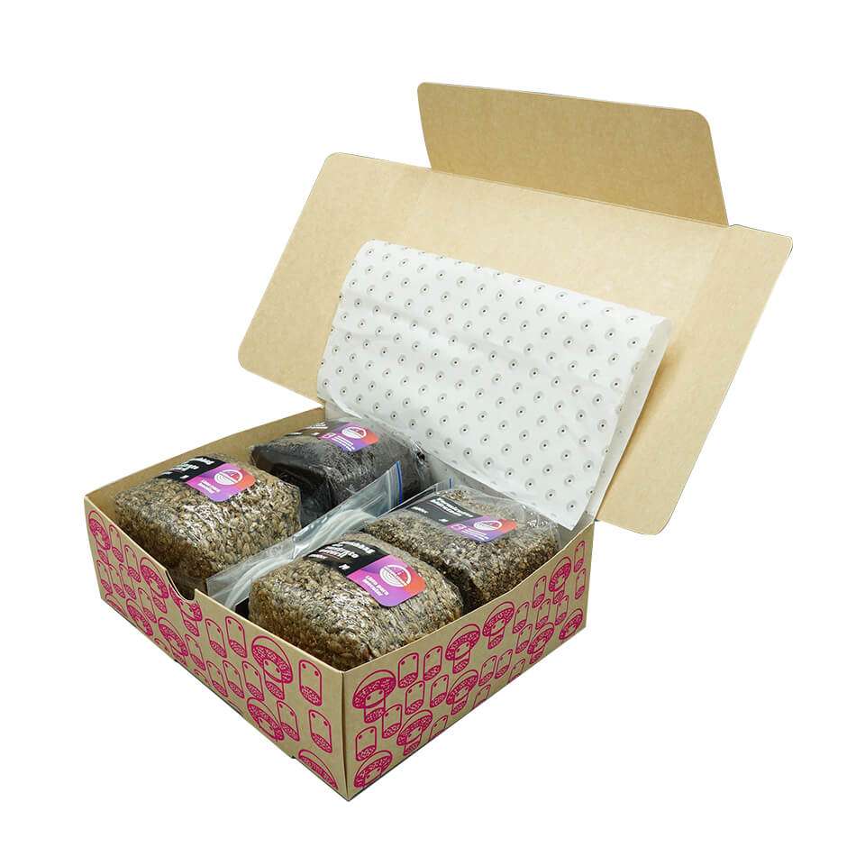 Caja de envío Mantún abierta mostrando sustratos empacados en su interior