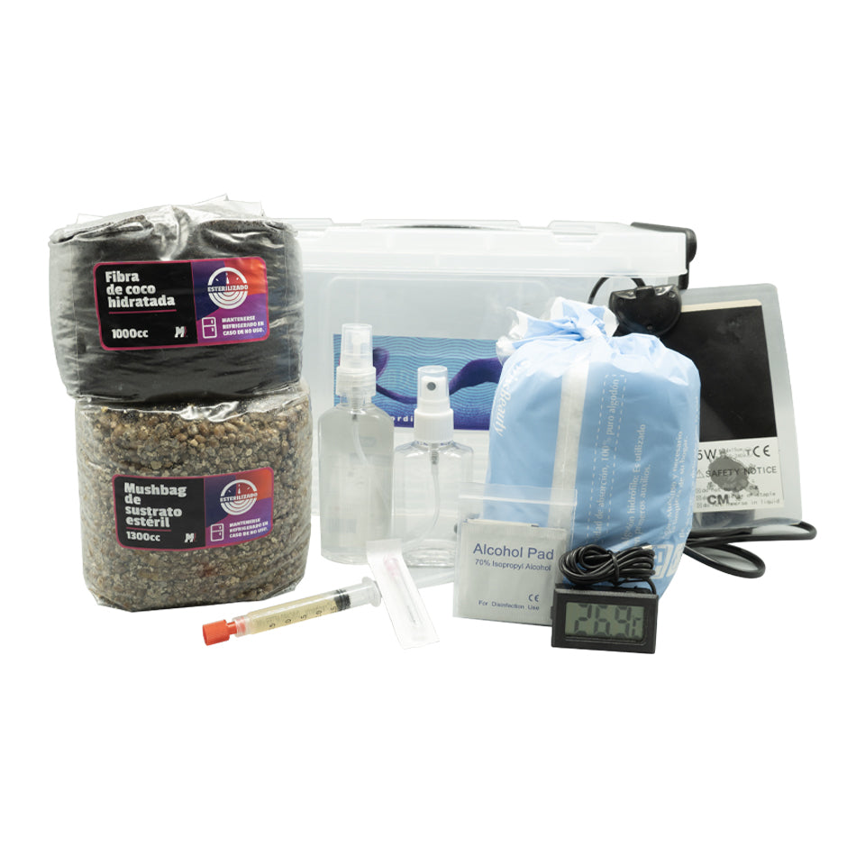 Kit Primordio completo para cultivo de hongos: caja transparente con sustratos, jeringa, manta y accesorios